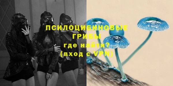 герыч Алексин