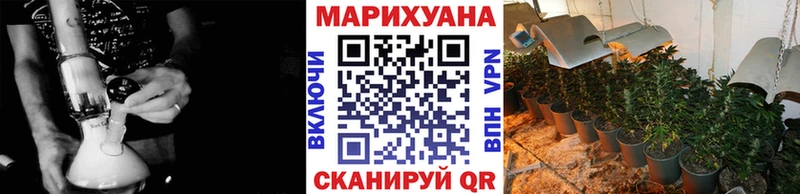 МАРИХУАНА сатива  купить закладку  Сасово 